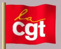 Cgt Salaires GIF