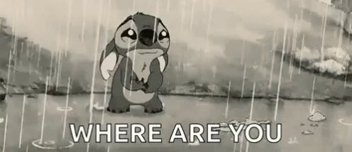 Stitch Crying GIF