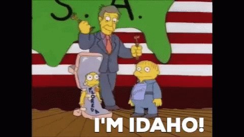 Im Idaho Ralph Wiggum GIF