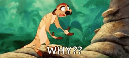 The Lion King Timon GIF