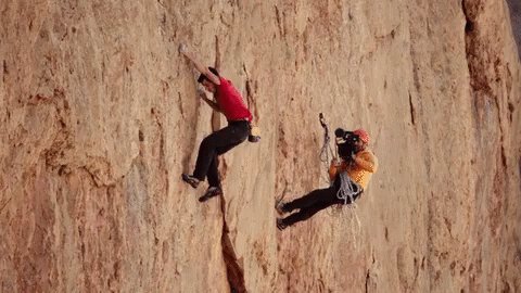 Free Solo Alex Honnold GIF