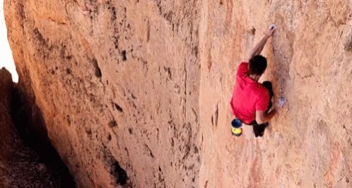 Free Solo Alex Honnold GIF