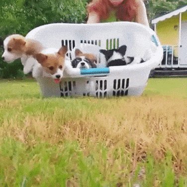 Jennifer Sykes (@scurrilous_j) on Twitter photo 08/07/2020 16:29:28 @ChuckWendig @ChuckWendig
