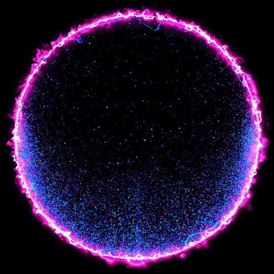 trippy circle GIF