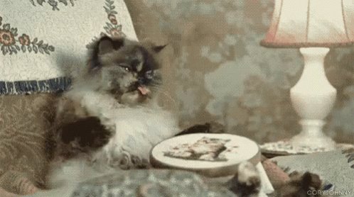 Bored Knit GIF