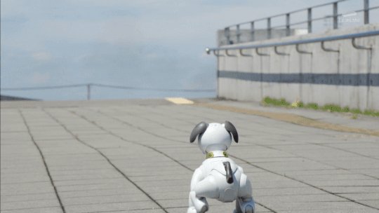 年7月12日 仮面ライダーゼロワンで Aibo が話題に 4ページ目 トレンドアットtv