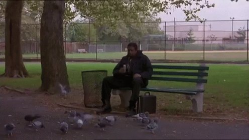 Ghost Dog Feeds Pigeons GIF