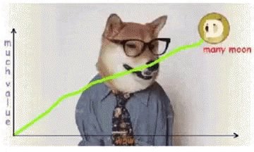 Dog Graph GIF