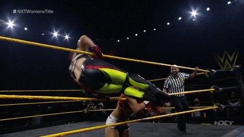 Hit the kick, nod to the NXT Universe...
How good is @shirai_io??
#WWENXT #NXTWomensTitle @TeganNoxWWE_ https://t.co/DbryZzgmi5