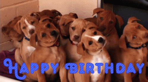  Happy birthday Fern, and everyone one who has a birthday today as well.          