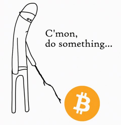 Btc Moon GIF