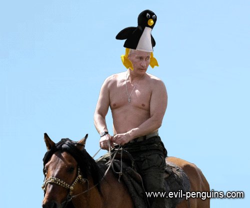 putin rides GIF