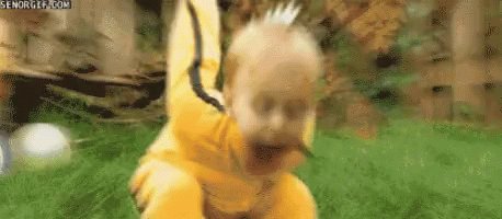 Ninja Ninjitsu GIF