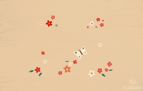  I have a lot of following you and I don\t check my message very often ... Happy birthday !! 