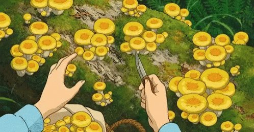 Picking Mushrooms Cartoon GIF