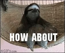 Sloth No GIF