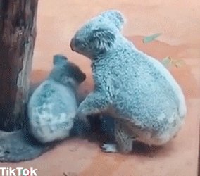 love you hug GIF by TikTok