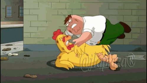 Fighting Chicken GIF