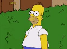 Homer Simpson Bushes GIF