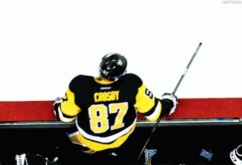 Happy birthday Sidney Crosby!

Excellent hockey player, excellent leader and excellent guy. 