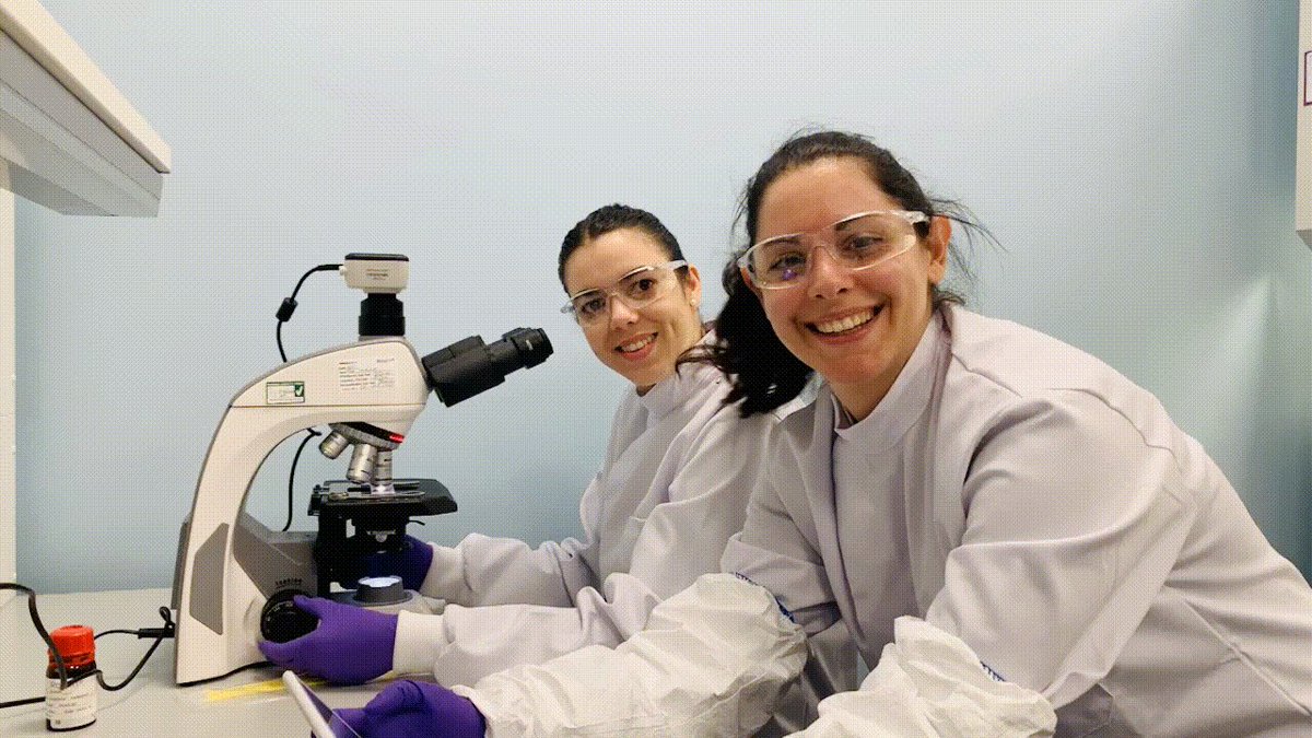 Who Says Science Can't Be Fun? Here, our Quality Control girls, have got that Friday Feeling while performing their regular environmental testing🔬
#FridayFeeling #ScienceUnlocked #ChooseScience #CellandGeneTherapy https://t.co/7W8aoqf7on