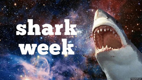 #SharkWeek tomorrow. I hope they bring the heat. #SharkFest was pretty dope. https://t.co/eQzDN7gOHe