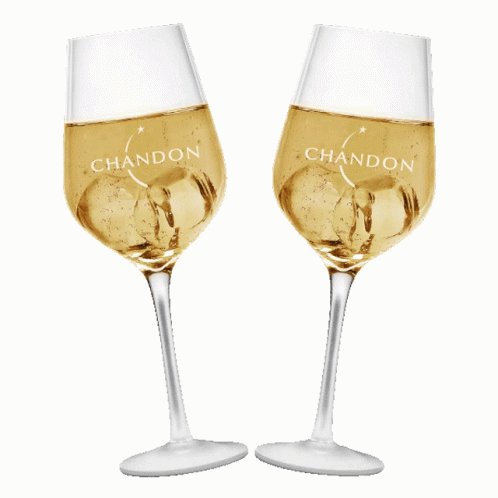 Sparkling Champagne GIF
