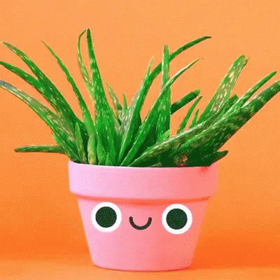 Aloe Plant GIF