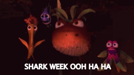 Shark Week Finding Nemo GIF