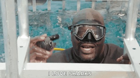 i love you shaq GIF by Shark Week