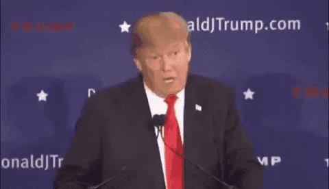 Trump Words GIF by moodman