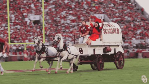 university of oklahoma GIF