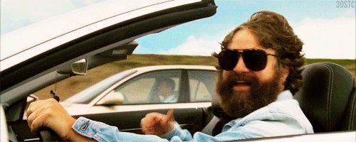 Zach Galifianakis GIF