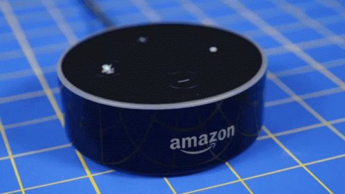 Amazaon Alexa GIF