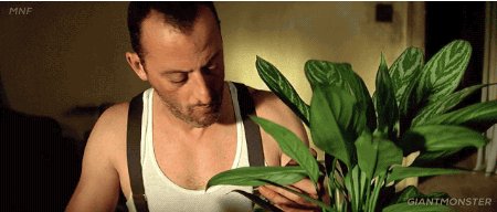Happy Birthday Leon star Jean Reno! 