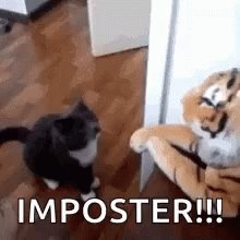 Imposter Fraud GIF
