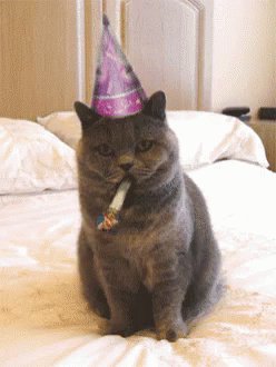 Birthday Happy Birthday GIF