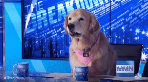 Great News Barking GIF