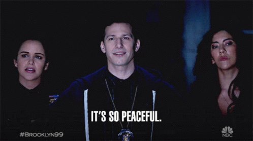 Its So Peaceful Jake Peralta GIF