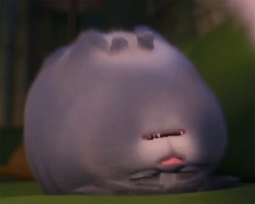 Awoo Booyah GIF