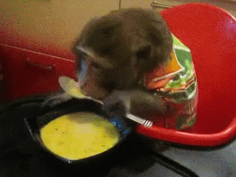 soup GIF