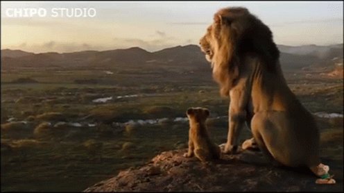 Lion King Movie GIF