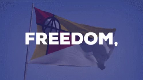 Democracy Freedom GIF