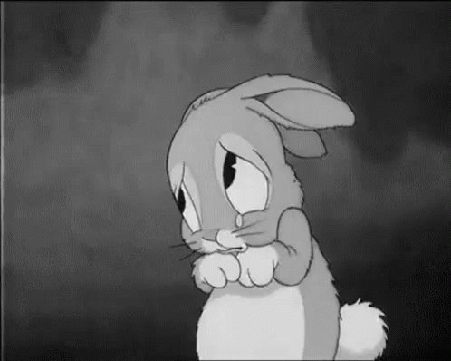 Bunny Crying GIF