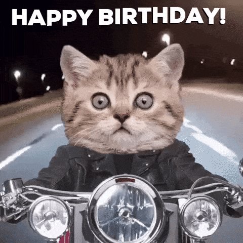 Happy Birthday Reece    