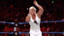 Wrestling KFC GIF