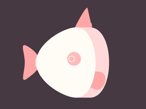 under water fish GIF by Nik...