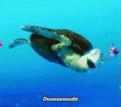 Finding Nemo Turtle GIF