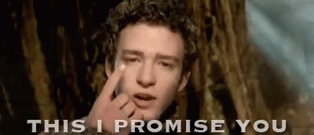 This I Promise You GIF