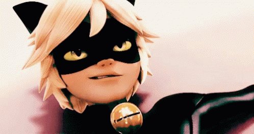 Miraculous Ladybug Chat Noi...